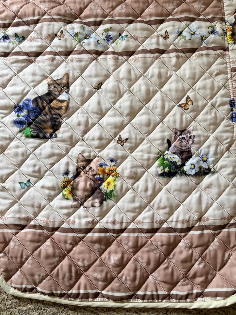 Cat Collage Furniture Protector
